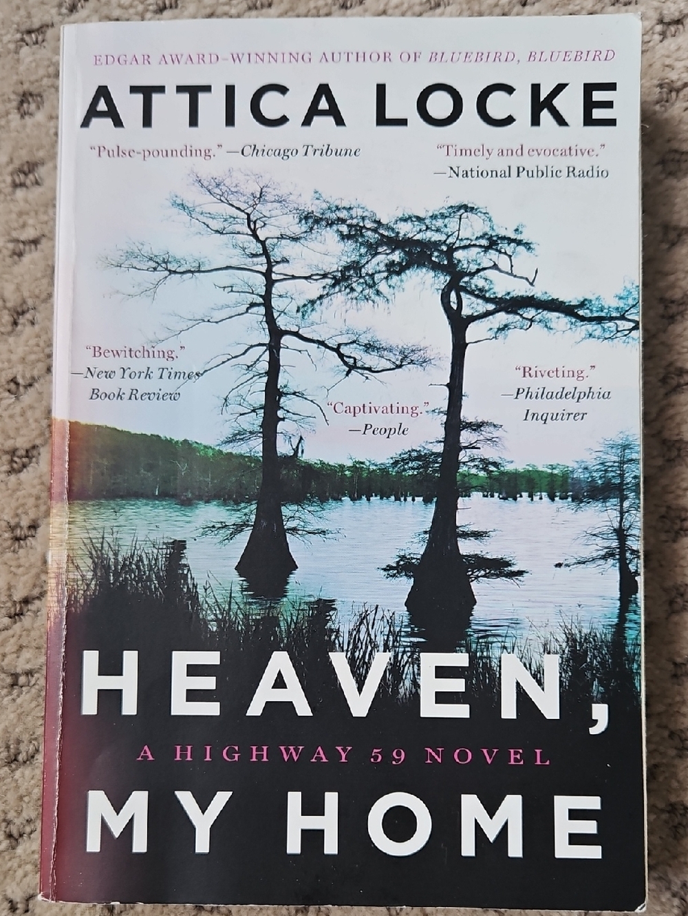 Heaven, My Home Paperback Book